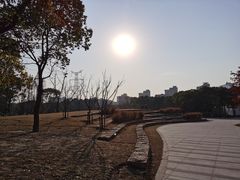 -颐景园
