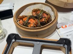 -杨氏青龙虾·羊蝎子(托乐嘉店)