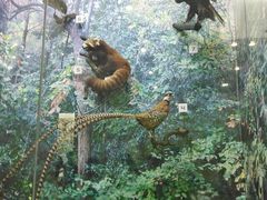 -国家自然博物馆