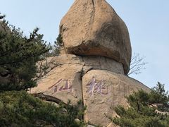 -崂山仰口游览区