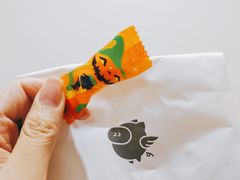 -WHEN PIGS FLY当猪飞