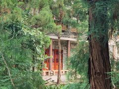 -东涌水乡风情街