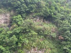 -安吉龙王山峡谷漂流