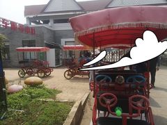 -上海都市菜园