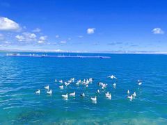 -青海湖国家重点风景名胜区