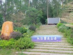 -火炉山森林公园