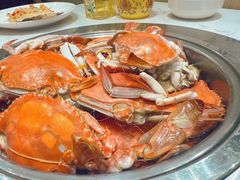 -集品鲜湾·蒸汽海鲜自助料理(青岛银座和谐广场店)