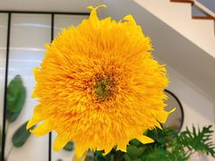 -森野花艺培训·企业团建活动沙龙