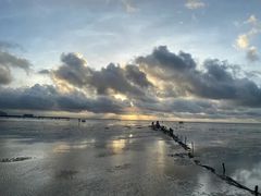 -红树林天天赶海