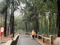 -灵岩山风景区