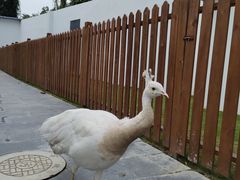 -金庭庄园酒店-停车场