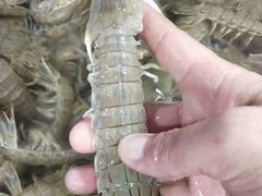 -三旗百汇商品城