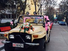 -爱主题婚礼策划  婚车租赁