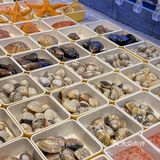 9.9r一盘现切牛肉！放在全国都是很炸裂的！