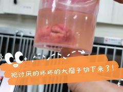 -立德动物医院·24小时中心(番禺区院区)