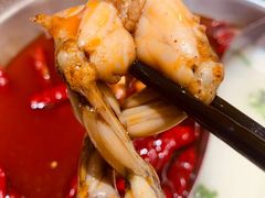 -麻田会 ·鲜活现烹·牛蛙火锅(珠江新城维家思广场店)
