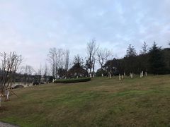 -铁山坪森林公园