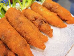 -丁老爷子苏香圆