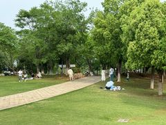 -盘龙城国家考古遗址公园