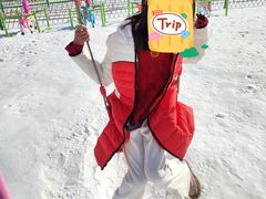 -绿野森林乐园冰雪季