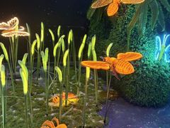 -福州罗源湾海洋世界旅游区