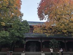 -灵谷景区