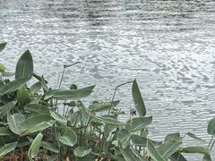 -南国桃园旅游度假区