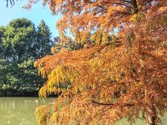 -上海海湾国家森林公园