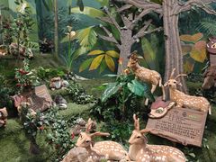 -济州岛泰迪熊博物馆