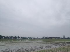 -中国天府农业博览园