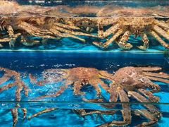 -学府海鲜批发市场