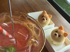 西柚苏打-柴犬高等学院·狗咖·柴犬售卖·宠物训练