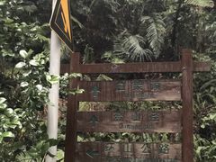 -火炉山森林公园