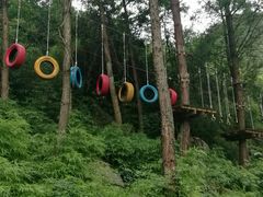 -梦幻奥陶纪景区