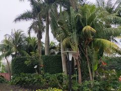 -白沙门生态公园
