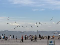 -东港音乐喷泉广场