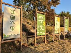 -塔川景区