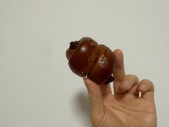 -WHEN PIGS FLY当猪飞