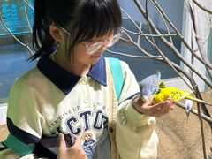 -上海大自然野生昆虫馆(东方明珠·爬宠昆虫探索中心)