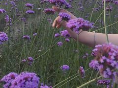 -杭州城北体育公园