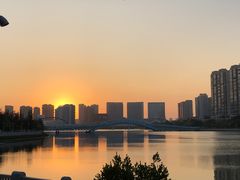 -五缘湾湿地公园