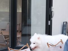 -J Create城市露营咖啡·简餐·宠物(上海动物园店)