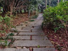 -长广溪湿地公园