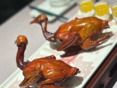 -大鸽饭(体育西路店)