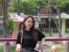 -灵玲国际马戏城