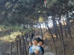 -北京鹫峰国家森林公园