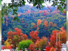 -楠溪江风景名胜区
