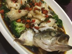 -清雅轩·清真菜·传统菜•融合菜(滑翔店)