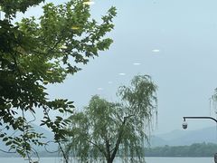 -楼外楼(西湖景区孤山路店)