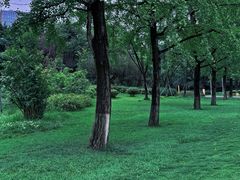 -成都市活水公园